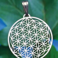 Anhänger BdL Silber, flach