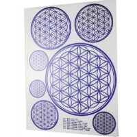 Aufkleber BdL A4 blau