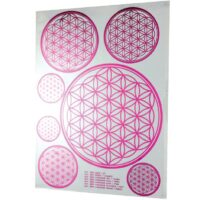 Aufkleber BdL A4 pink