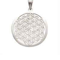 Anhänger BdL Silber