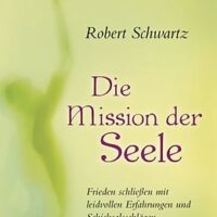 Die Mission der Seele