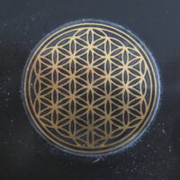 Schungit - Würfel BdL